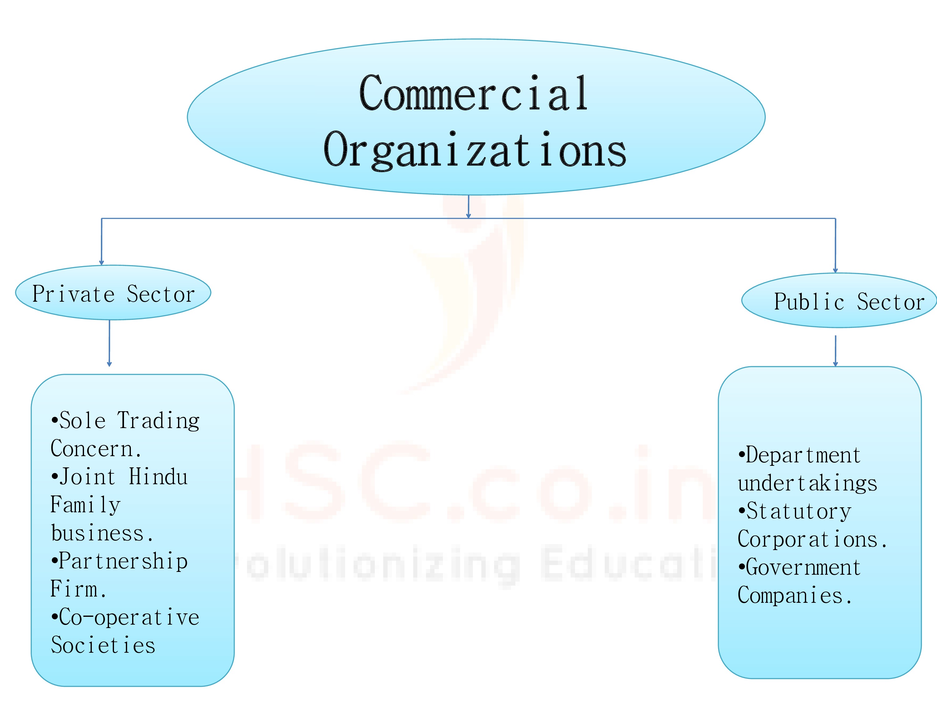Commercial Organization