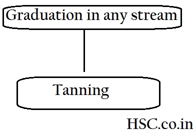 Air Hostess Flight Attendants As a Career Courses after 12th HSC